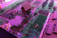 20180916_094411965_iOS-scaled