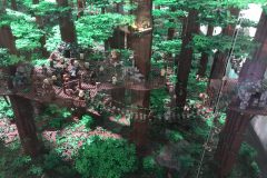 20180916_094949543_iOS-scaled