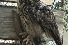 20180916_100015958_iOS-scaled