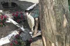 20180916_100107498_iOS-scaled