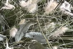 20180916_100128818_iOS-scaled