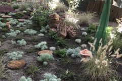 20180916_100426195_iOS-scaled
