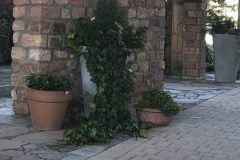 20180916_100607833_iOS-scaled