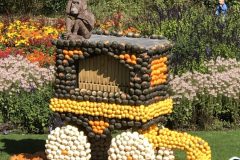 20180916_101324409_iOS-scaled