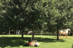 20180916_101719680_iOS-scaled
