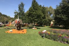 20180916_101741867_iOS-scaled