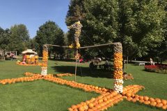 20180916_102403597_iOS-scaled