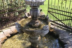 20180916_103729774_iOS-scaled