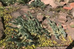 20180916_103838424_iOS-scaled