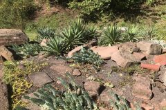 20180916_103841927_iOS-scaled