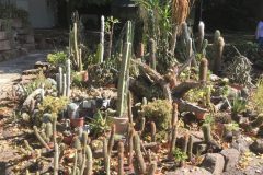 20180916_103924701_iOS-scaled