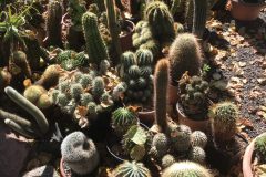 20180916_103936345_iOS-scaled