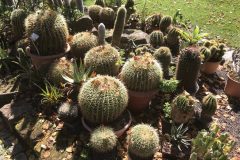 20180916_103942250_iOS-scaled