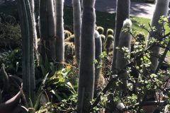 20180916_103948990_iOS-scaled