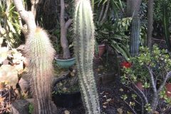 20180916_103957097_iOS-scaled