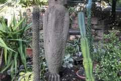 20180916_104003603_iOS-scaled