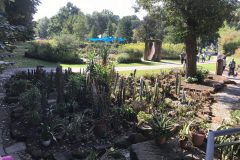 20180916_104055440_iOS-scaled