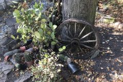 20180916_104423781_iOS-scaled