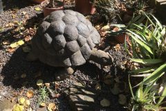 20180916_104431855_iOS-scaled