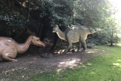 20180916_104845855_iOS-scaled