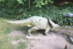 20180916_105023650_iOS-scaled