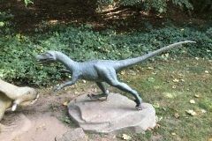 20180916_105026086_iOS-scaled