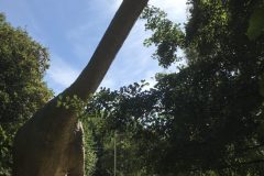 20180916_105254023_iOS-scaled