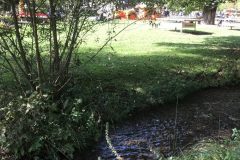 20180916_105418869_iOS-scaled