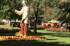 20180916_105605804_iOS-scaled