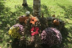 20180916_105647839_iOS-scaled