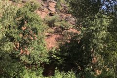 20180916_105928144_iOS-scaled