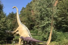 20180916_105932815_iOS-scaled
