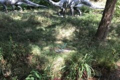 20180916_110055955_iOS-scaled