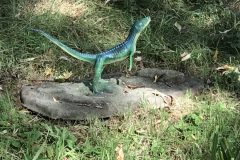20180916_110103229_iOS-scaled