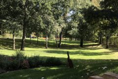 20180916_110344708_iOS-scaled