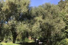20180916_110615730_iOS-scaled