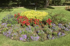 20180916_112644712_iOS-scaled