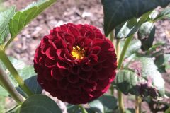 20180916_112823902_iOS-scaled