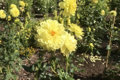 20180916_112834379_iOS-scaled
