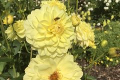 20180916_112901970_iOS-scaled