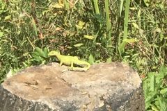 20180916_113025460_iOS-scaled