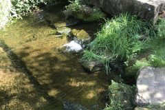 20180916_113227637_iOS-scaled