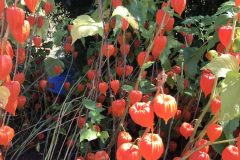 20180916_123223030_iOS-scaled
