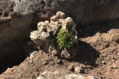 20180916_123456939_iOS-scaled