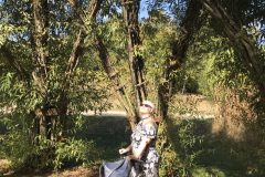 20180916_123927354_iOS-scaled