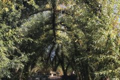 20180916_124050664_iOS-scaled