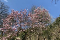 IMG_1398-scaled