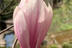IMG_1401-scaled