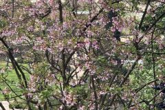 IMG_1402-scaled