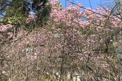 IMG_1409-scaled
